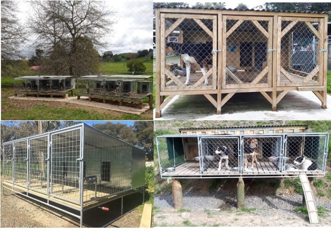 Dog Kennelling – Building new dog kennels or thinking about an upgrade?. Caroline Robertson